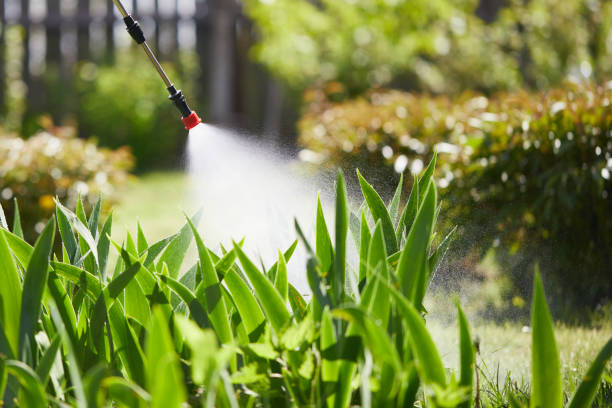 24/7 Emergency Wasp Removal experts in Franklin, GA