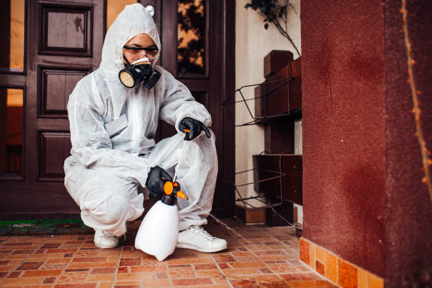 Reliable Wasp Removal contractor in Franklin, GA by Show Me Pest Control